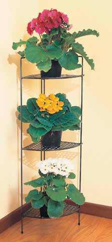 ROSY ANGLE POT HOLDER X 3 SHELF FR003