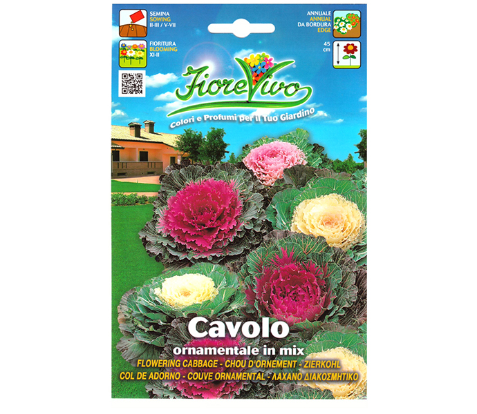 Cavolo Ornamentale Mix Db Il Qronfla