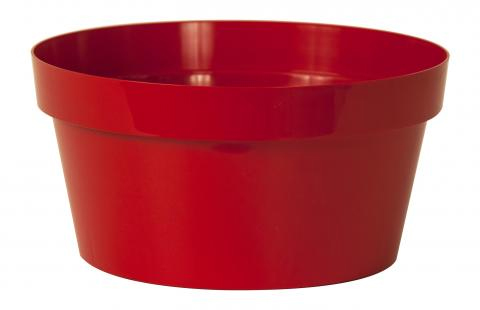 CIMI30PER_1