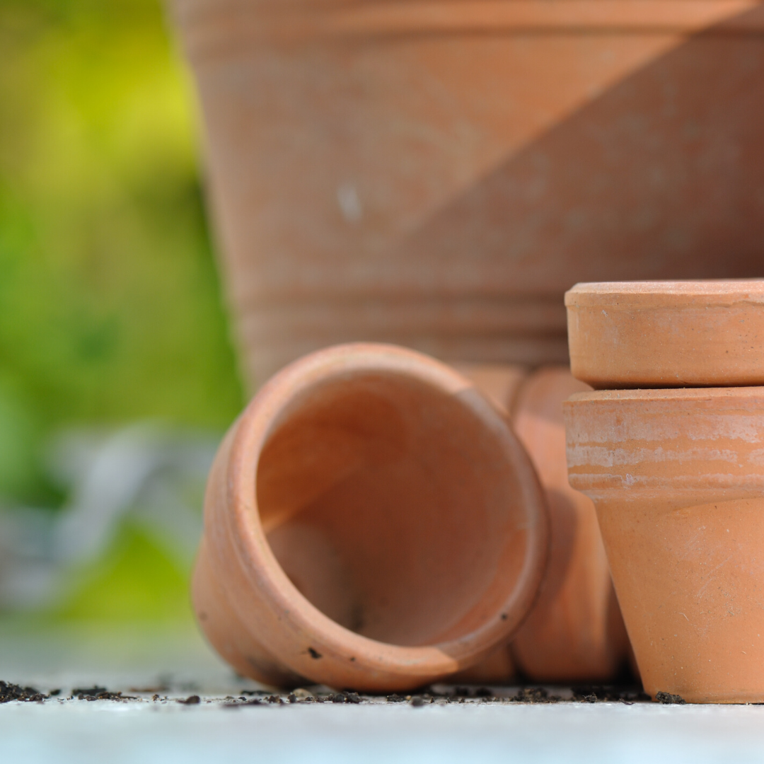 Il Qronfla Garden Centre Plants and Flowers Delivery Malta & Gozo