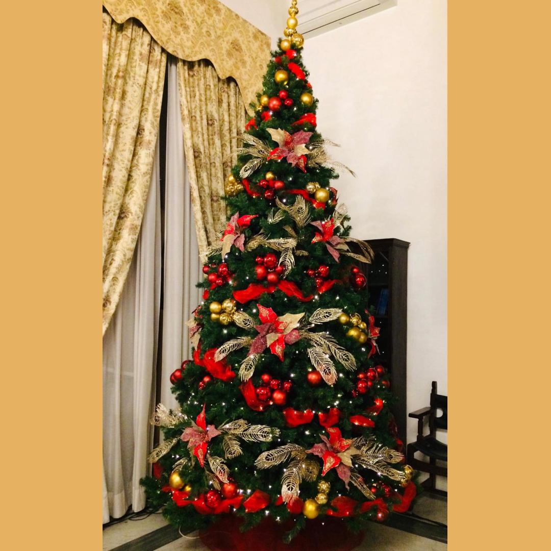 Traditional Christmas tree or not?