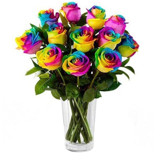 Bouquet of Rainbow Roses ilQronfla